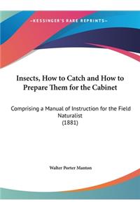 Insects, How to Catch and How to Prepare Them for the Cabinet