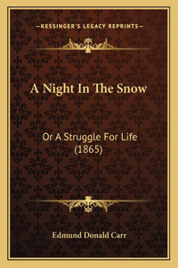 Night In The Snow
