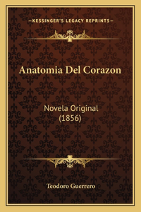 Anatomia Del Corazon