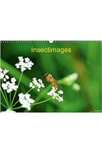 Insectimages 2018