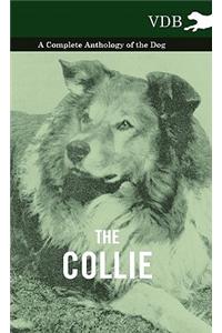 The Collie - A Complete Anthology of the Dog -