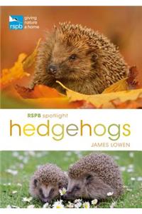 RSPB Spotlight Hedgehogs