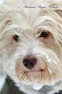 Havanese August Notebook Havanese Record, Log, Diary, Special Memories, To Do List, Academic Notepad, Scrapbook & More