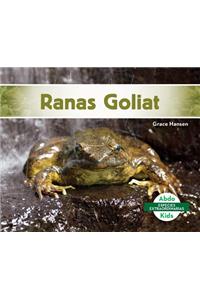 Ranas Goliat (Goliath Frogs)