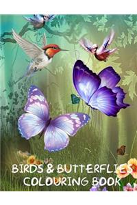 Birds and Butterflies Colouring Book