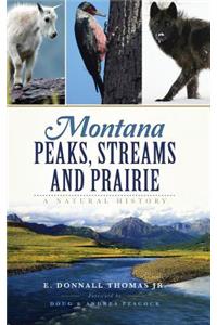 Montana Peaks, Streams and Prairie