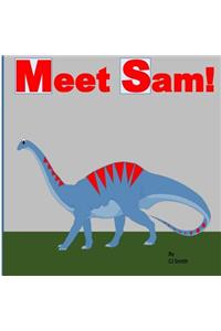 Meet Sam!
