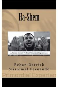 Ha-Shem: A Timely Return to the Primordial Experience