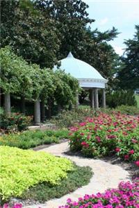 Stone Path Through a Charming Flower Garden in England Journal