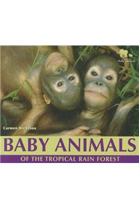 Baby Animals of the Tropical Rain Forest