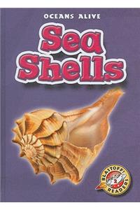 Sea Shells
