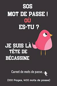 SOS Mot de Passe ! où es-tu ? Je suis là Tête de Bécassine