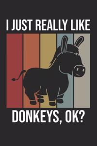 I Just Really Like Donkeys, OK?