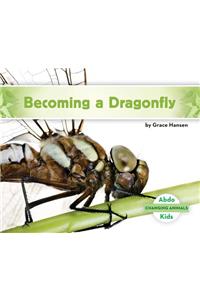Becoming a Dragonfly