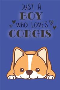 Just A Boy Who Loves Corgis