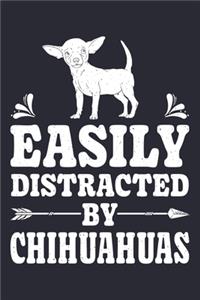 Easily Distracted By Chihuahuas