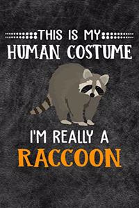 This Is My Human Costume I'm Really A Raccoon