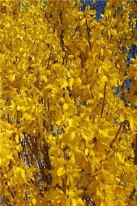 2019 Weekly Planner Spring Forsythia Bushes 134 Pages