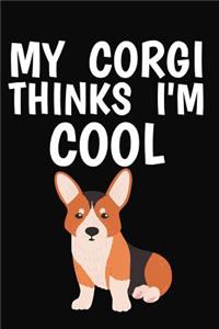 My Corgi Thinks I'm Cool