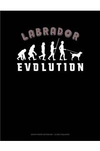 Labrador Evolution