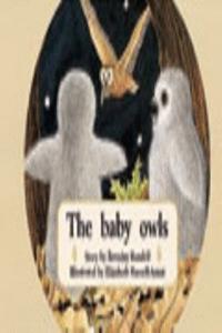 The baby owls