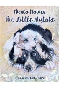 Little Mistake