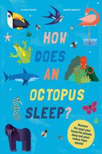 How Does An Octopus Sleep?