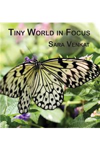 Tiny World in Focus