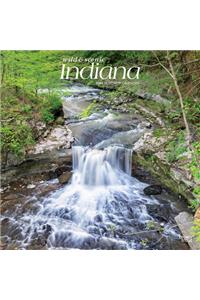 Indiana Wild & Scenic 2021 Square