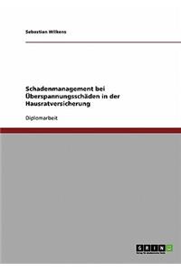 Schadenmanagement bei Überspannungsschäden in der Hausratversicherung