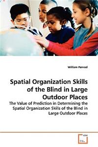 Spatial Organization Skills of the Blind in Large Outdoor Places