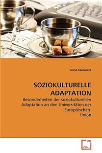 Soziokulturelle Adaptation