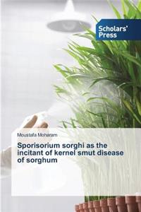 Sporisorium sorghi as the incitant of kernel smut disease of sorghum