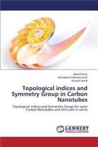 Topological Indices and Symmetry Group in Carbon Nanotubes