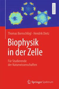 Biophysik in Der Zelle