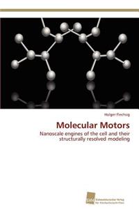 Molecular Motors