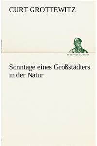 Sonntage Eines Grossstadters in Der Natur