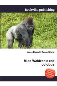 Miss Waldron's Red Colobus