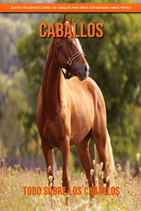 Todo sobre los Caballos