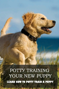 Роttу Training Your Nеw Puppy