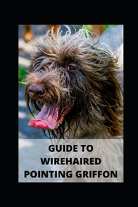 Guide to Wirehaired Pointing Griffon