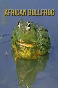 African Bullfrog