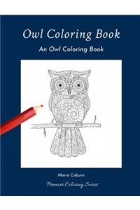 Owl Coloring Book