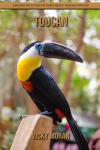 Toucan