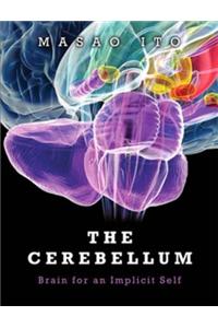 Cerebellum, The