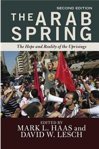 Arab Spring: The Hope and Reality of the Uprisings