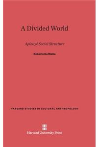 Divided World