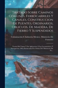 Tratado Sobre Caminos Comunes, Ferrocarriles Y Canales, Construccion De Puentes, Ordinarios, Oblicuos, De Madéra, De Fierro Y Suspendidos
