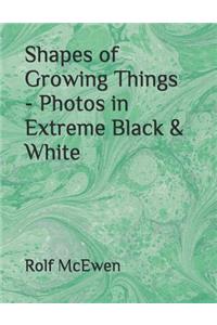 Shapes of Growing Things - Photos in Extreme Black & White