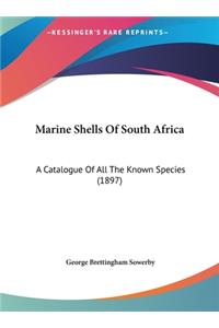 Marine Shells Of South Africa